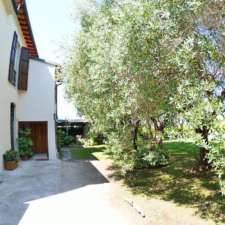 Casa Romana Viareggio Exterior photo