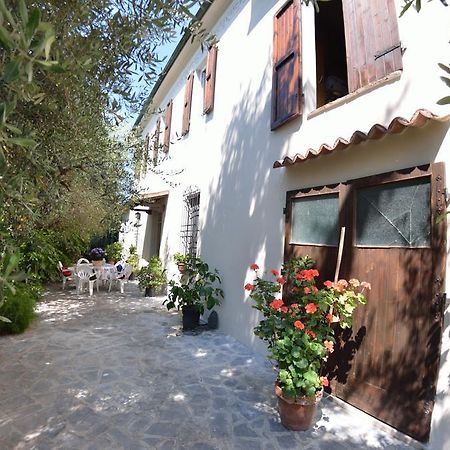 Casa Romana Viareggio Exterior photo