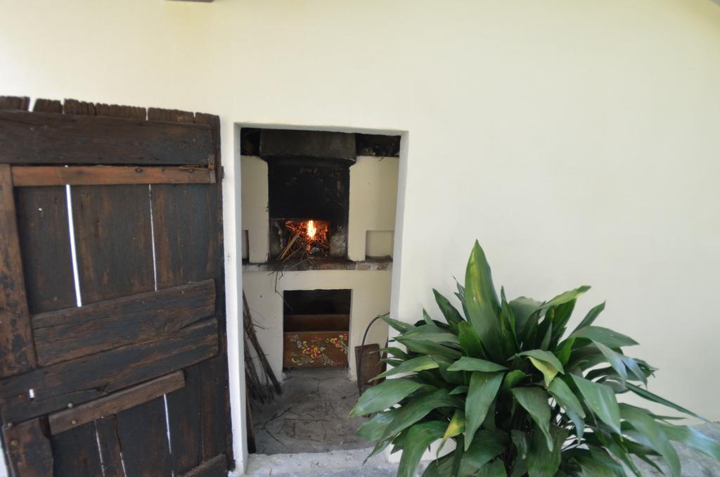 Casa Romana Viareggio Exterior photo